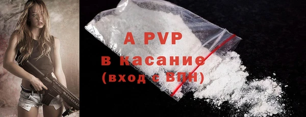 сатива Верея
