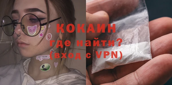 сатива Верея