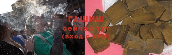 сатива Верея