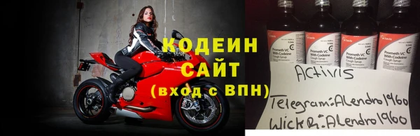 сатива Верея