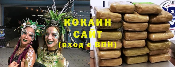 сатива Верея