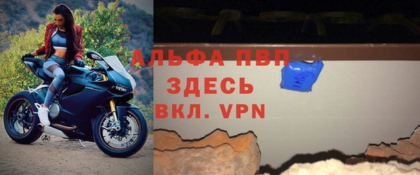 сатива Верея